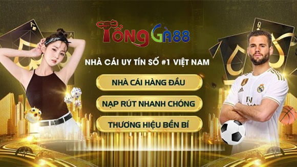 Cập nhật những thông tin quan trọng về đại lý