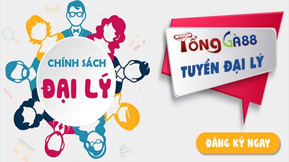 Tuyển đại lý hoạt động cùng nhà cái