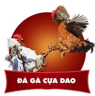 đá gà cựa dao